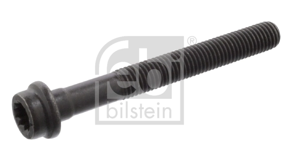 Cylinder Head Bolt